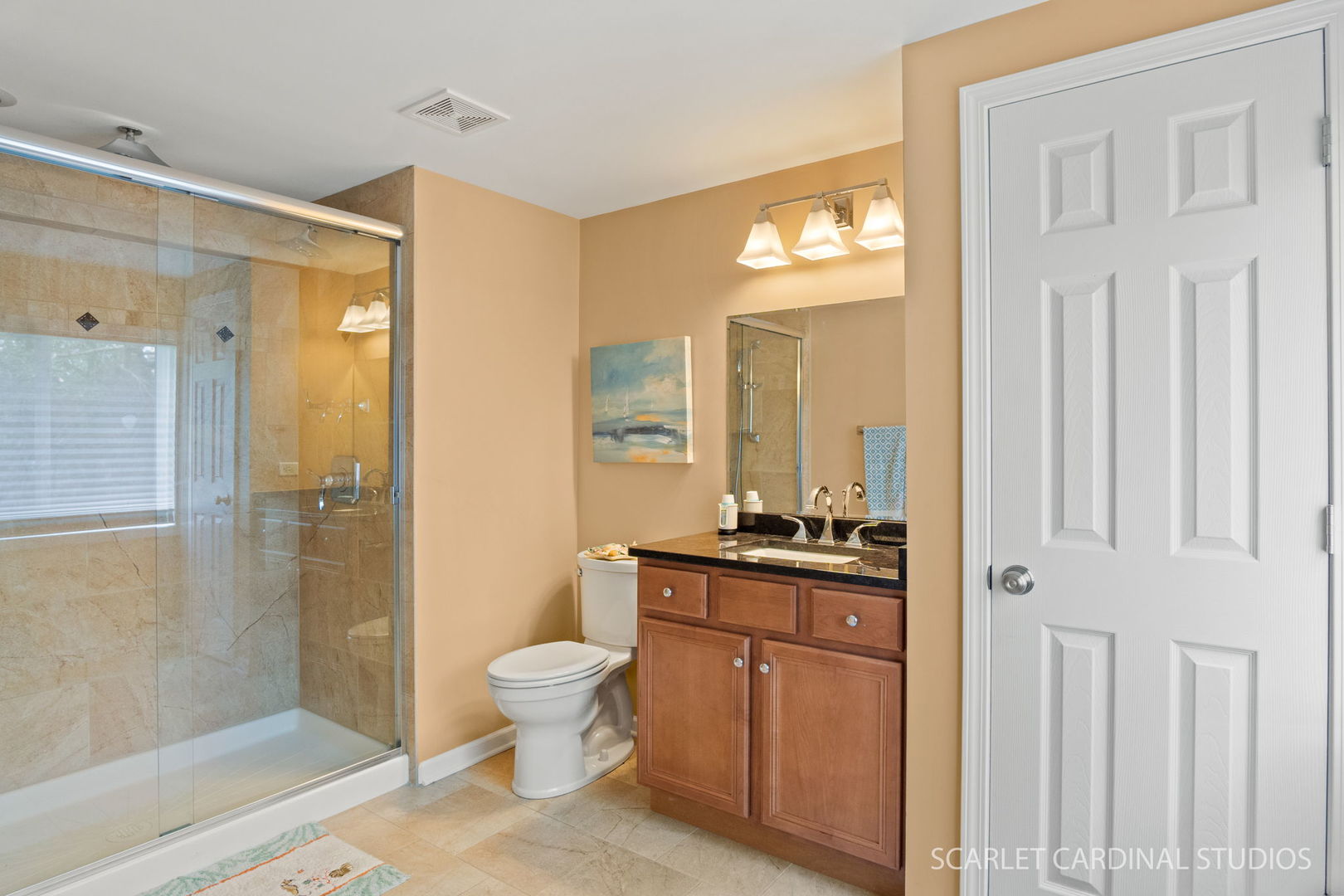 217 Ridge Road, North Aurora, IL 60542