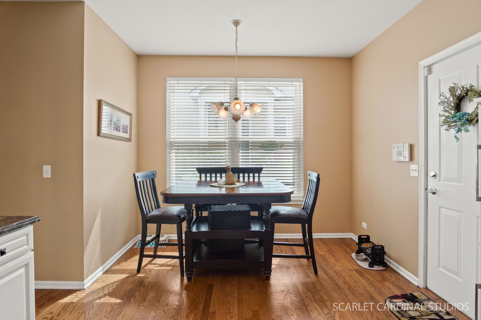 217 Ridge Road, North Aurora, IL 60542