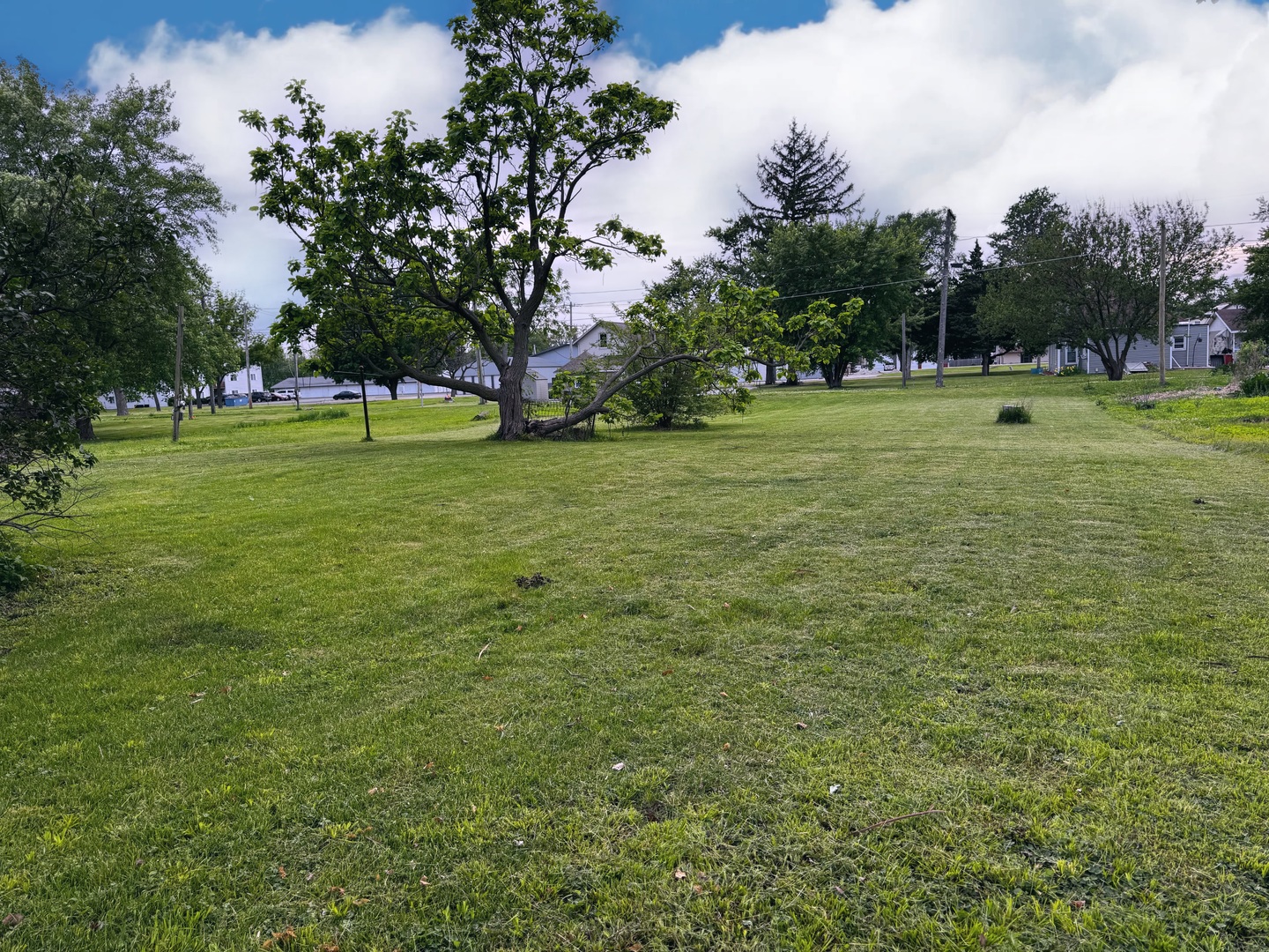 Lot 13 S Locust Street, Wenona, IL 61377