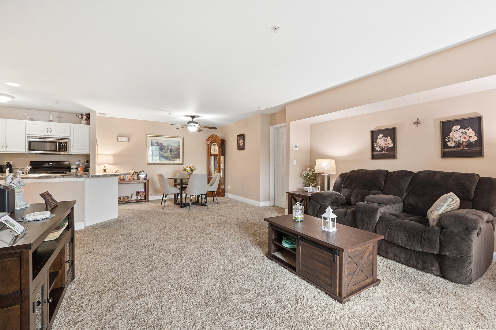 20335 S Rainford Drive #1D, Frankfort, IL 60423