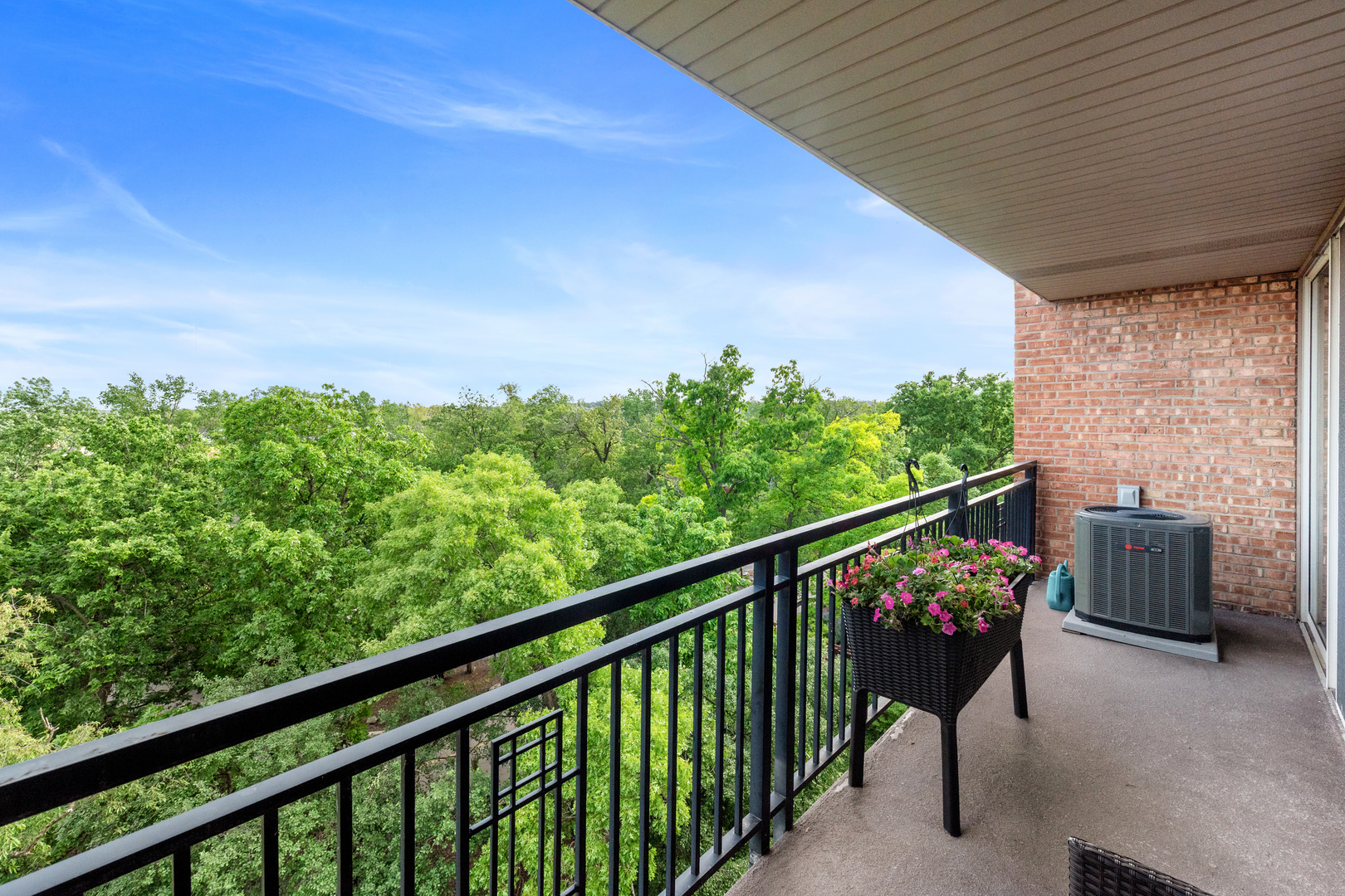 6010 Oakwood Drive #6A, Lisle, IL 60532