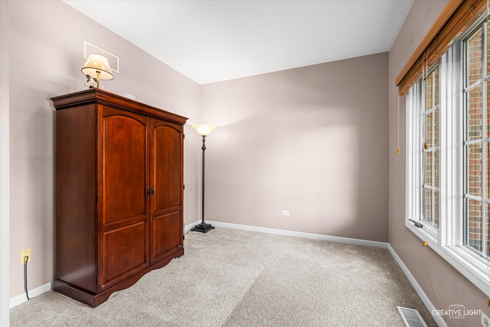 3108 Mistflower Lane, Naperville, IL 60564