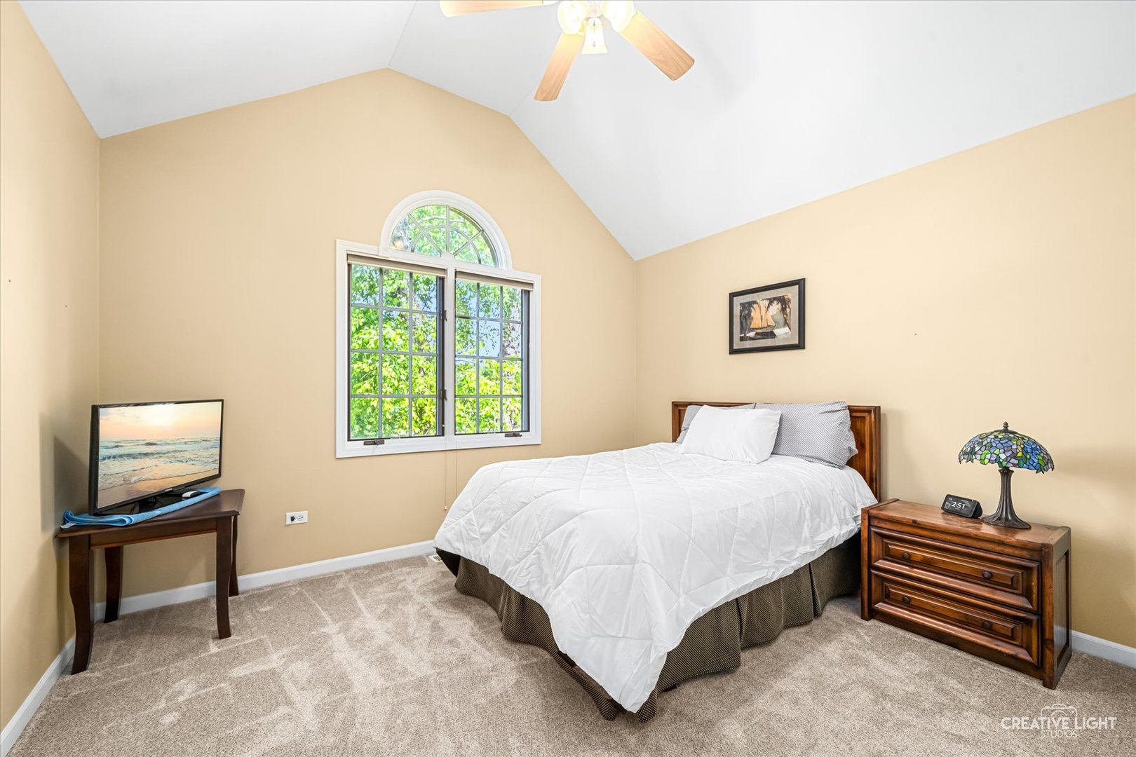 3108 Mistflower Lane, Naperville, IL 60564