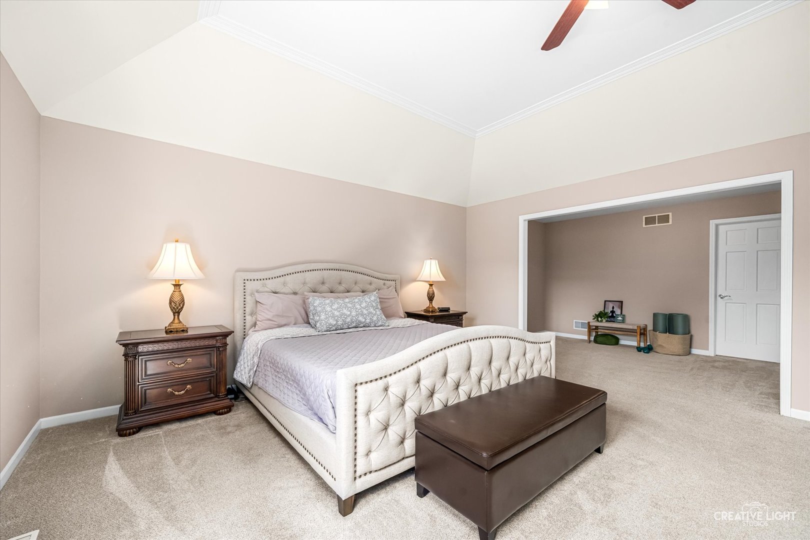 3108 Mistflower Lane, Naperville, IL 60564