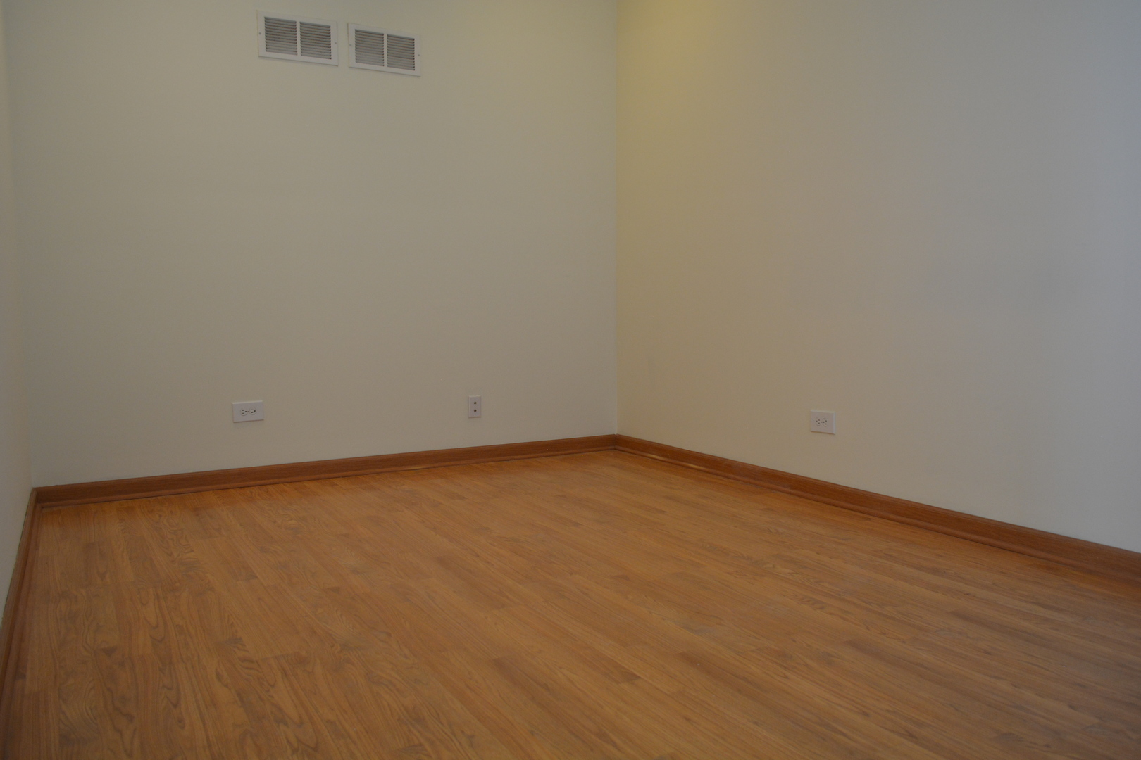 494 W Parkside Drive, Palatine, IL 60067