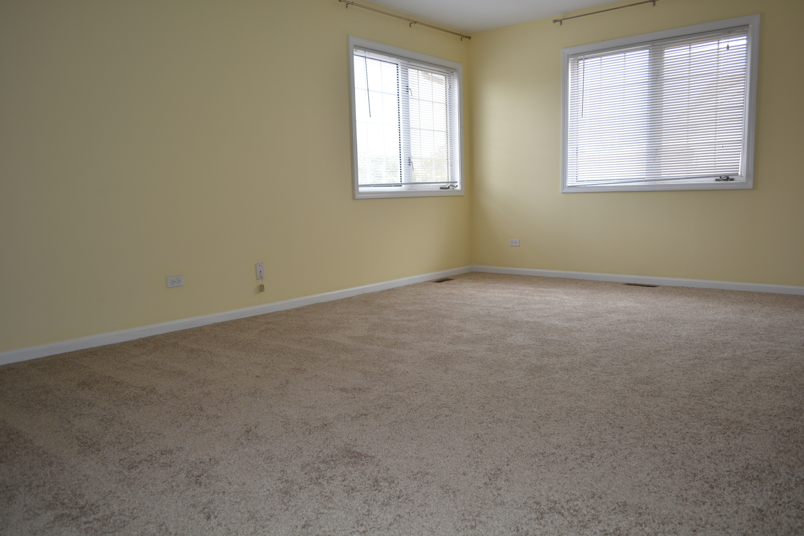 494 W Parkside Drive, Palatine, IL 60067