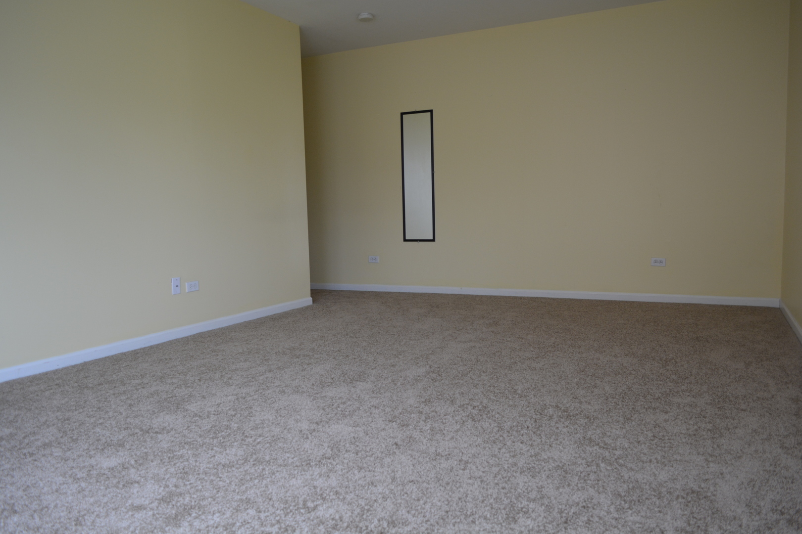 494 W Parkside Drive, Palatine, IL 60067
