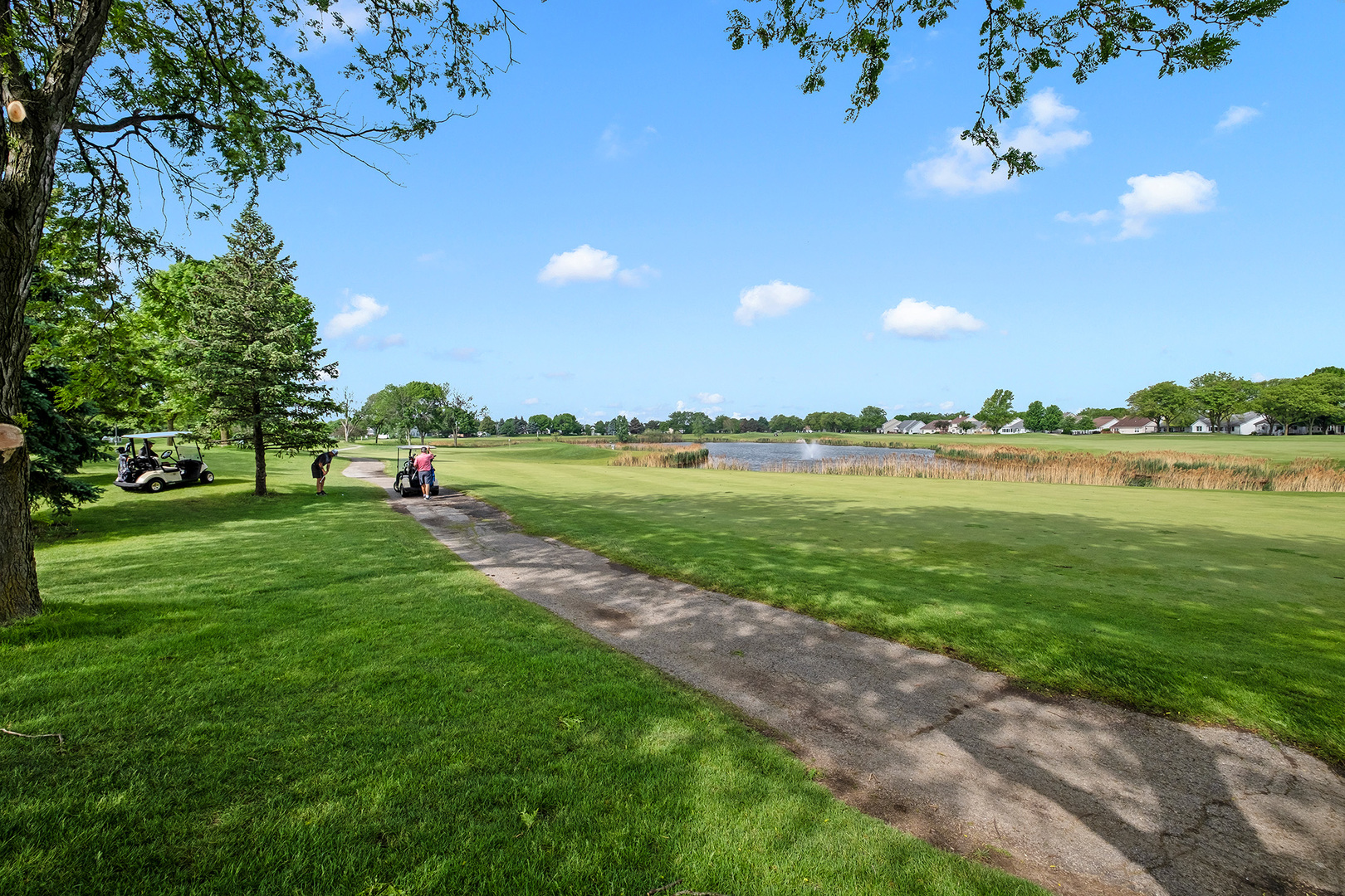 21445 W Douglas Lane, Plainfield, IL 60544