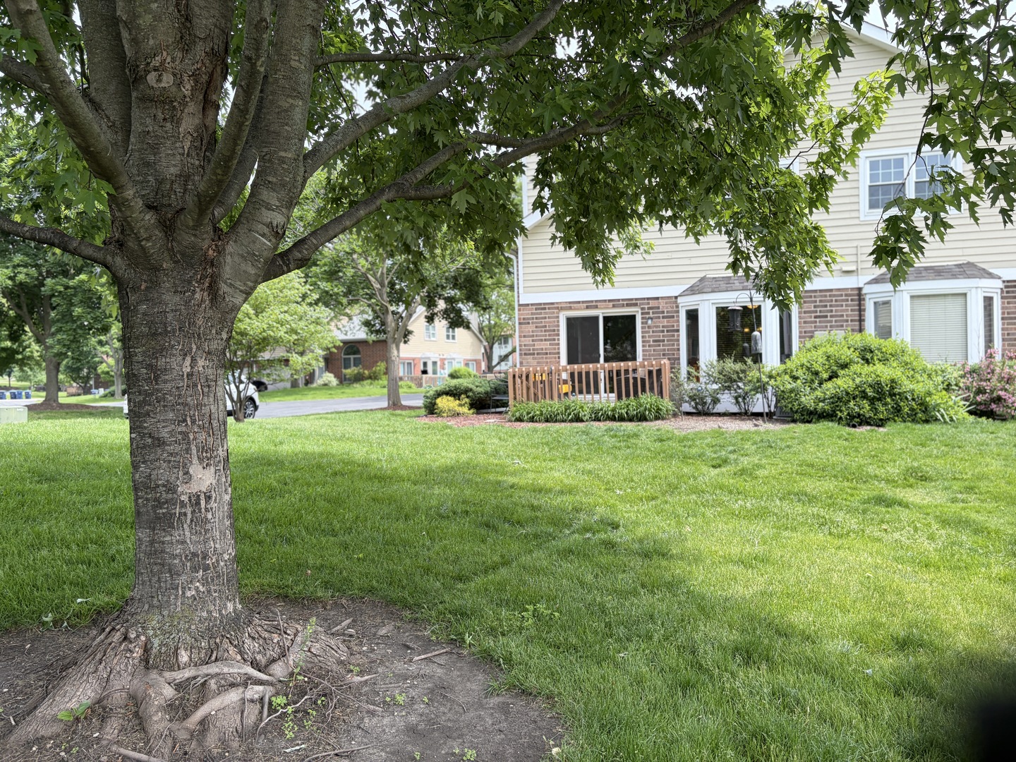1511 Barrymore Drive, Darien, IL 60561