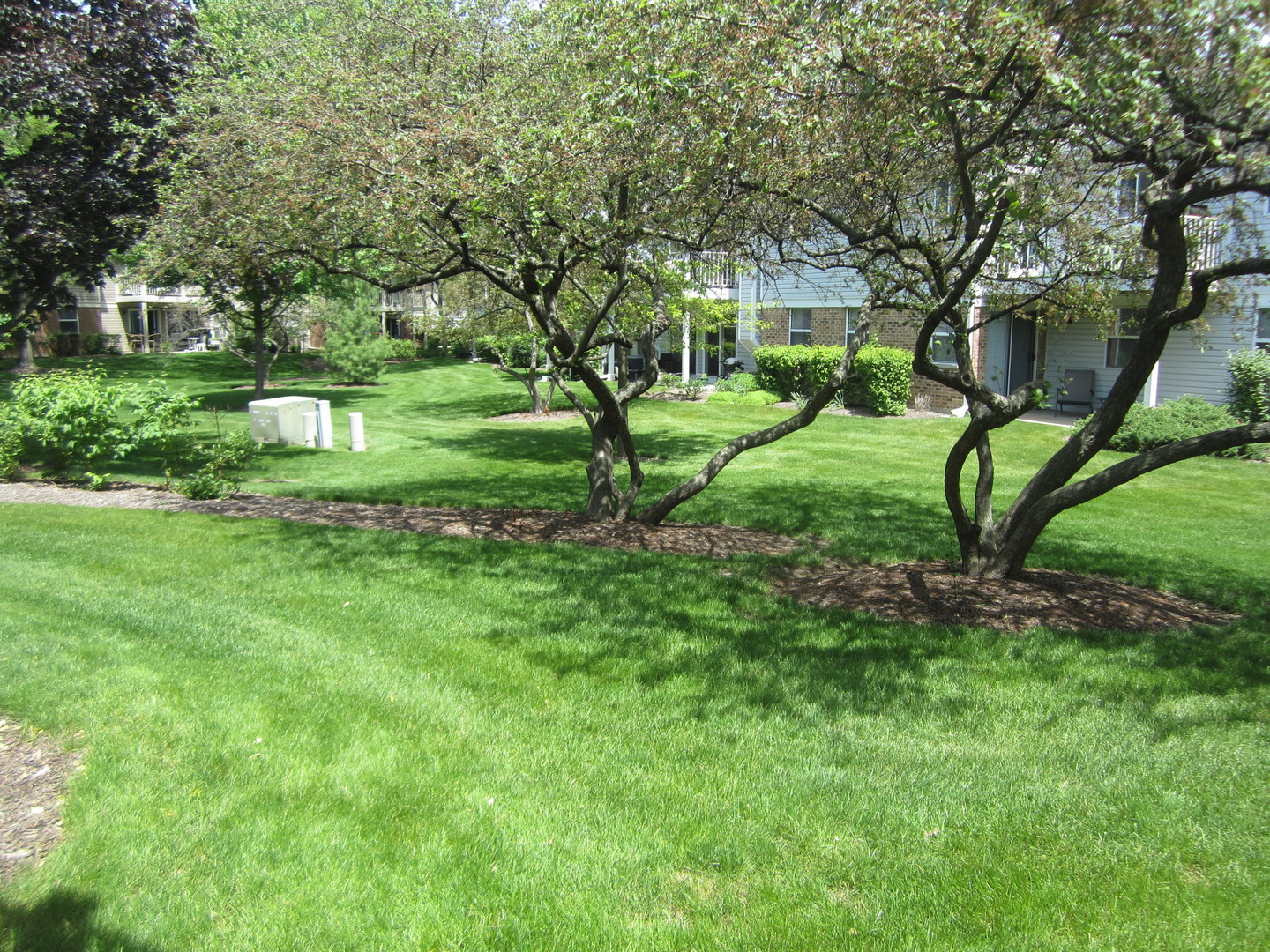 2862 Meadow Lane #x1, Schaumburg, IL 60193