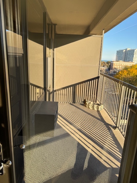 2605 S Indiana Avenue #708, Chicago, IL 60616