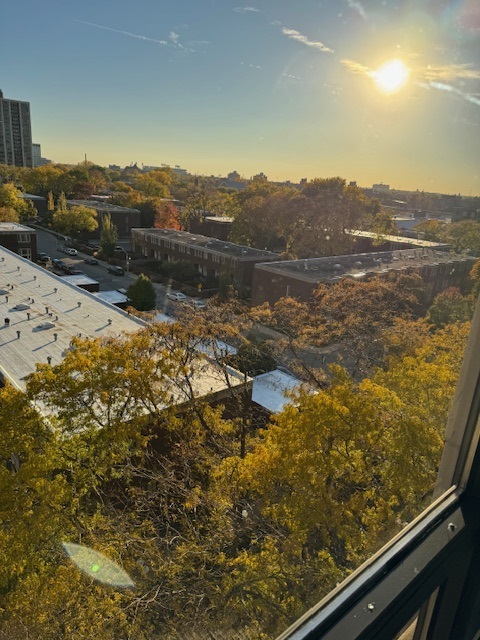 2605 S Indiana Avenue #708, Chicago, IL 60616