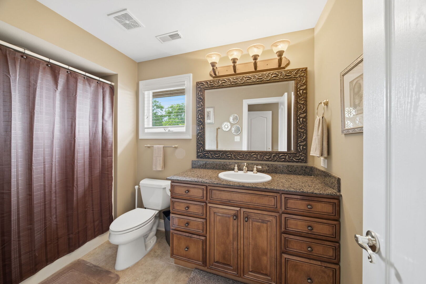 17033 S Deer Path Drive, Homer Glen, IL 60491