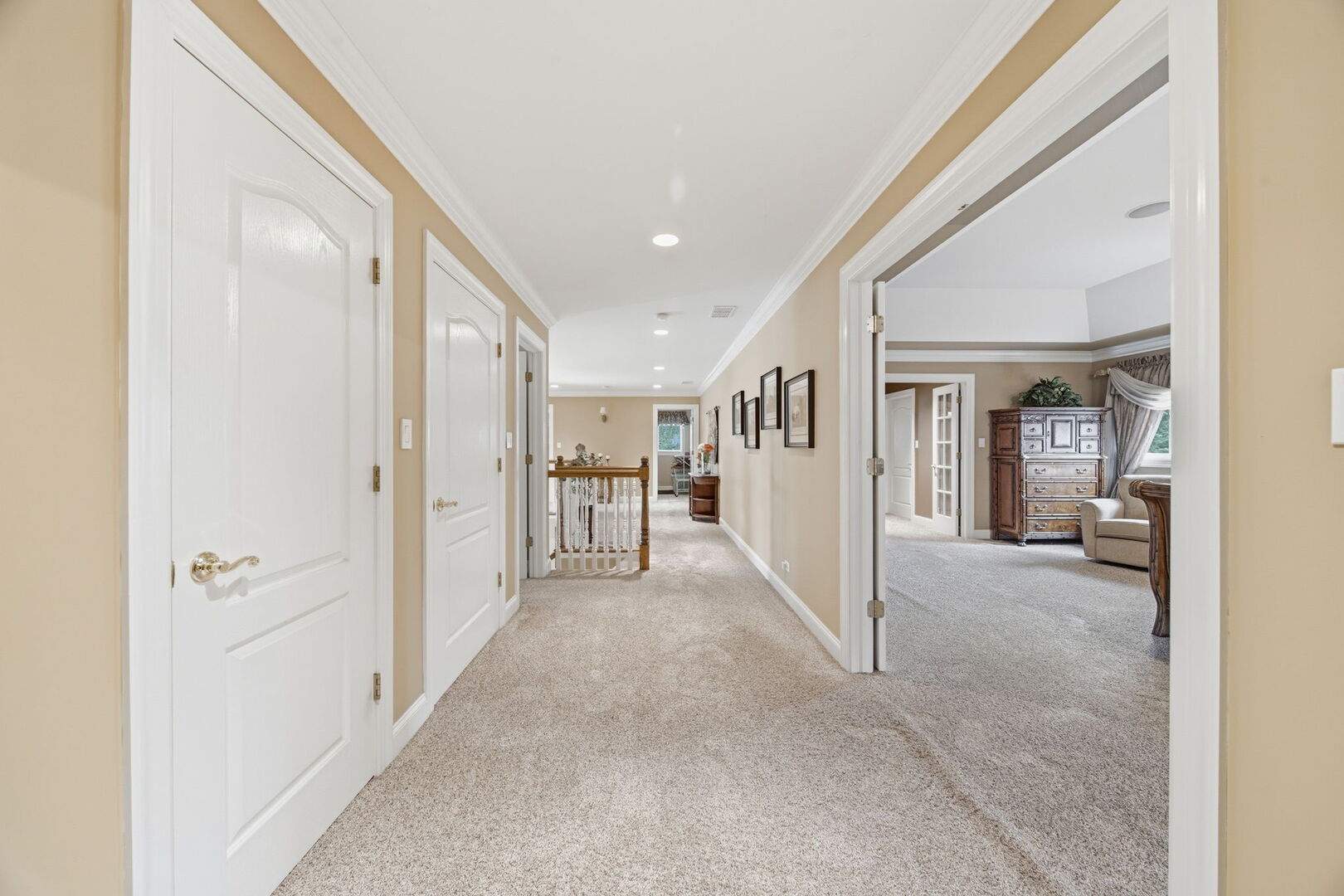 17033 S Deer Path Drive, Homer Glen, IL 60491