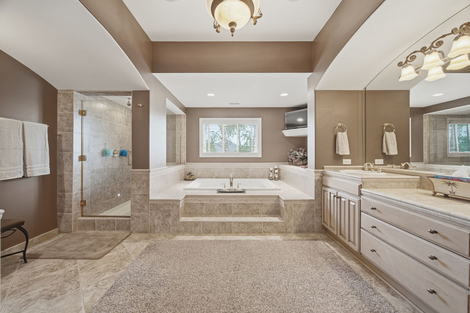 17033 S Deer Path Drive, Homer Glen, IL 60491