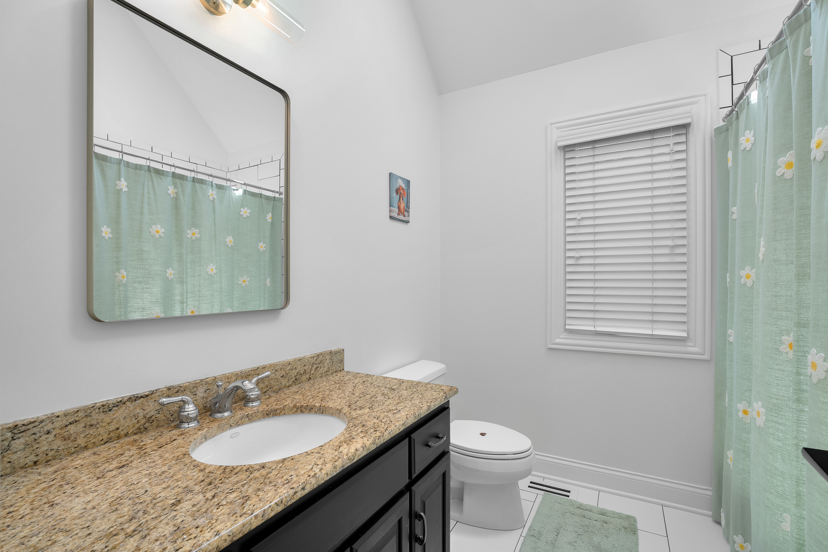643 W Crockett Avenue, Elmhurst, IL 60126