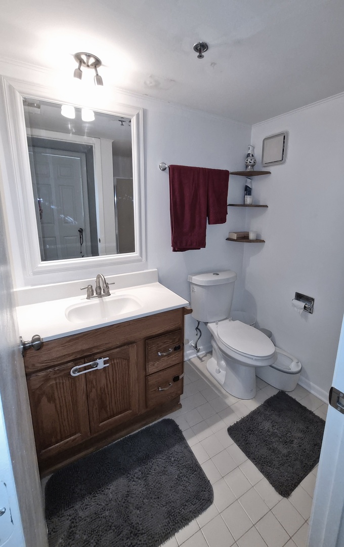 6050 Lake Bluff Drive #201, Tinley Park, IL 60477