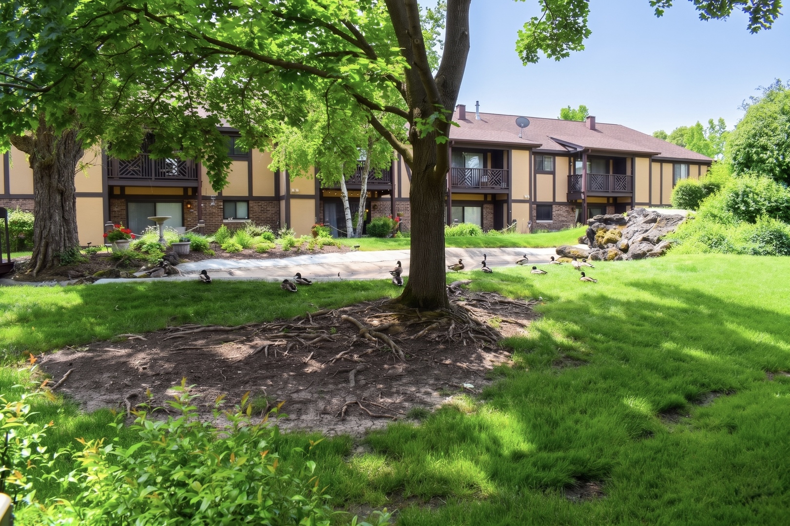 890 Sheldon Court #D, Wheaton, IL 60189