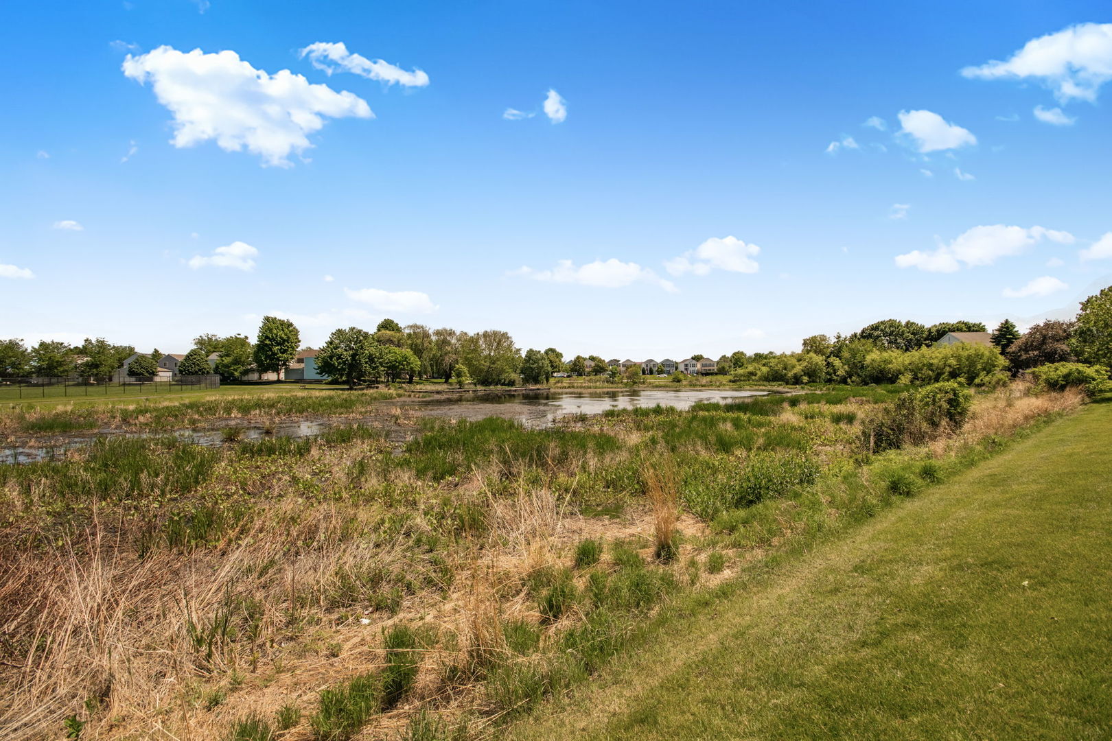 59 FREESIA Court, Romeoville, IL 60446