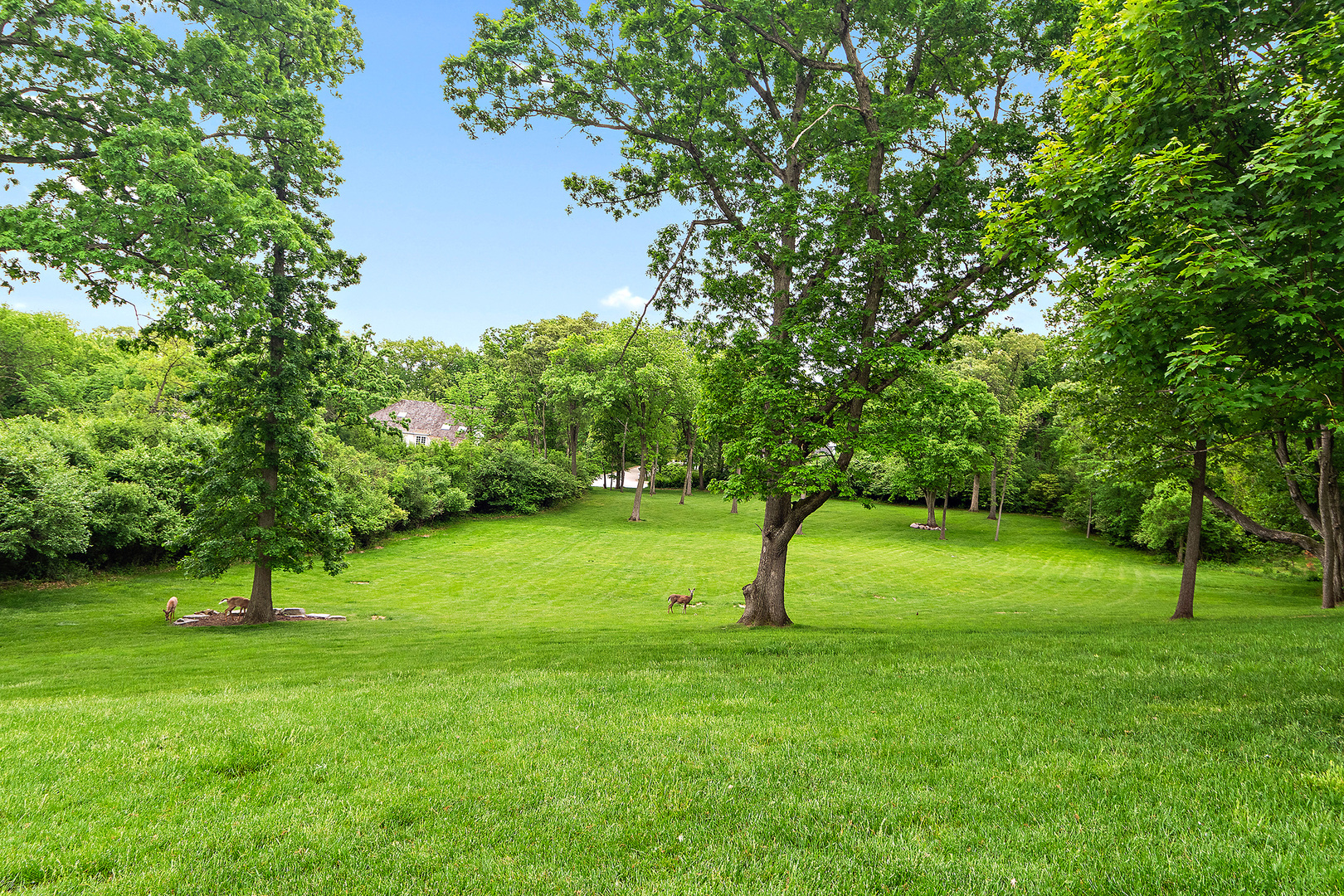 15w181 87th Street, Burr Ridge, IL 60527