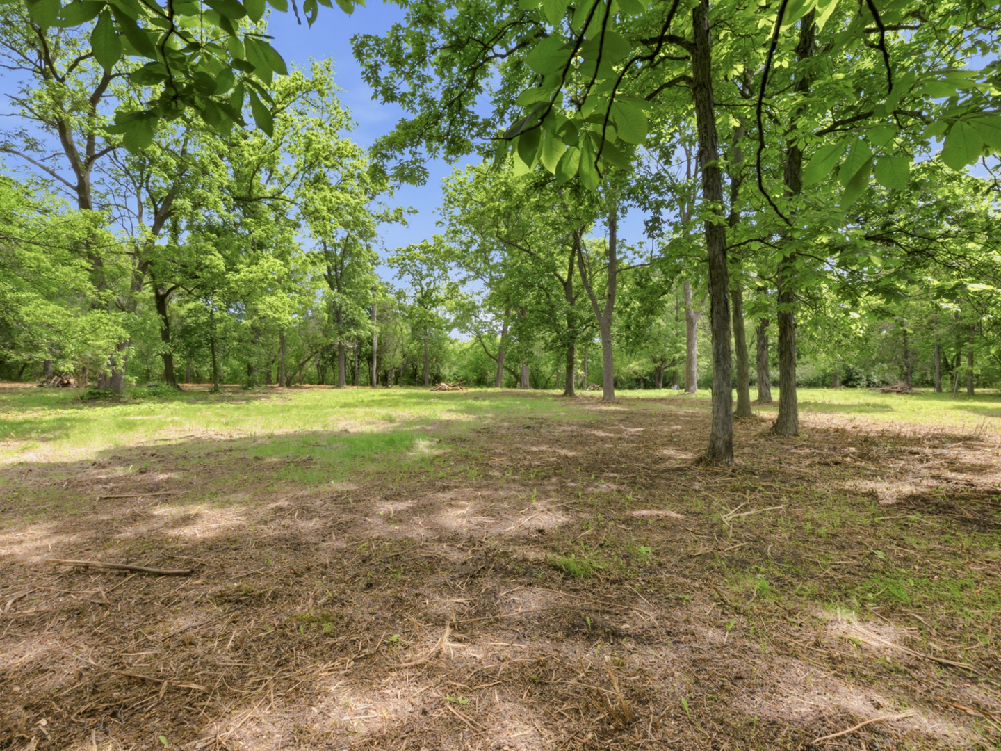 7N650 SAYER Road, Bartlett, IL 60103