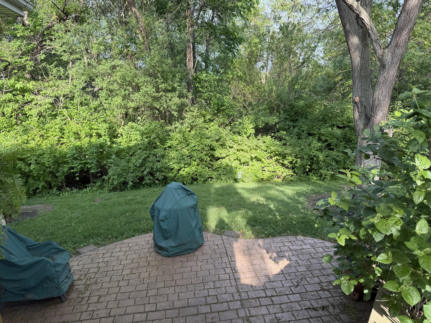 315 E Fox Street, Yorkville, IL 60560