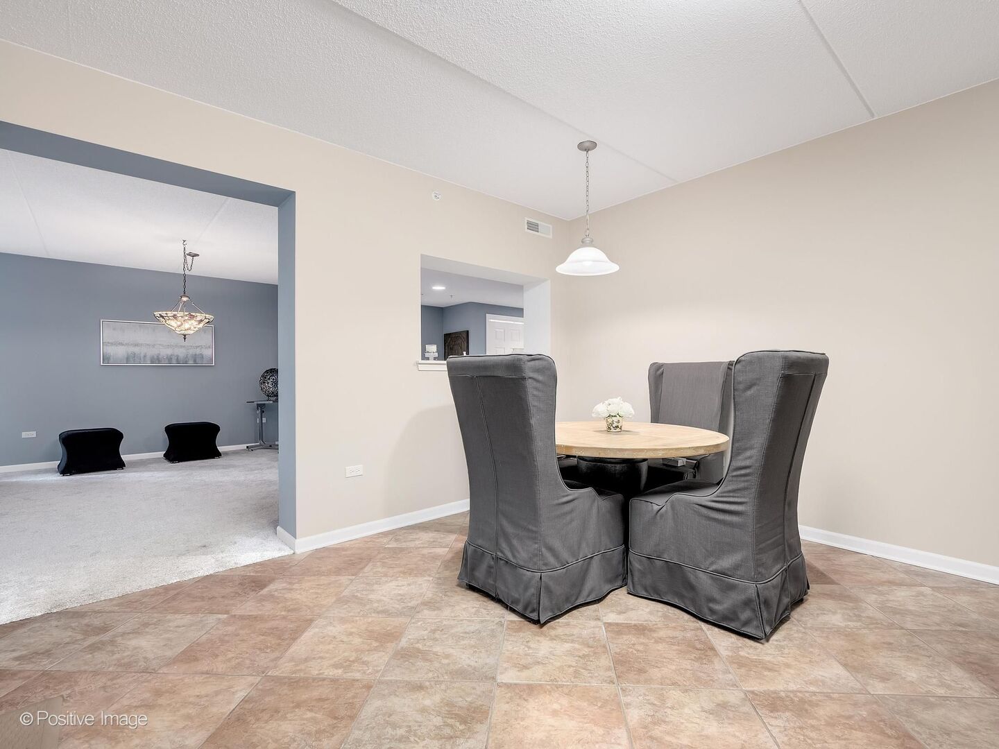 586 Crescent Boulevard #304, Glen Ellyn, IL 60137