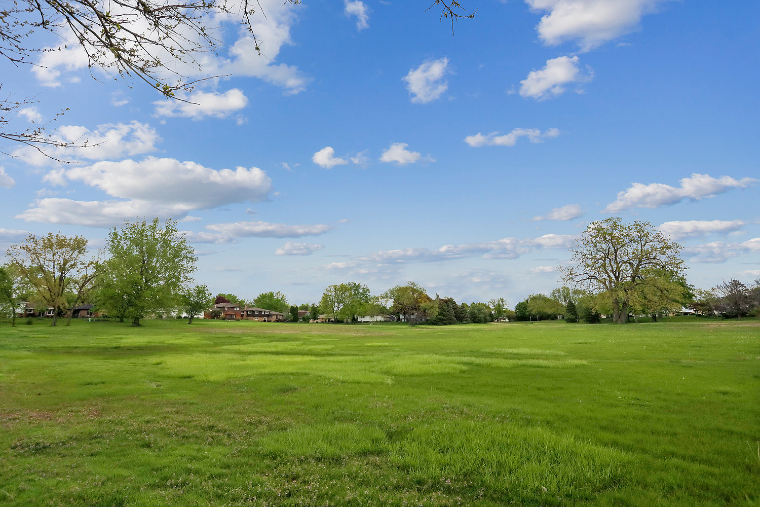 3020 Spring Green Drive, Darien, IL 60561