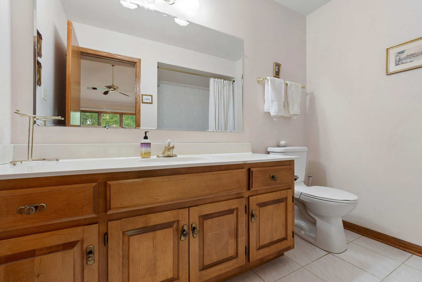 11135 Shenandoah Drive, Orland Park, IL 60467