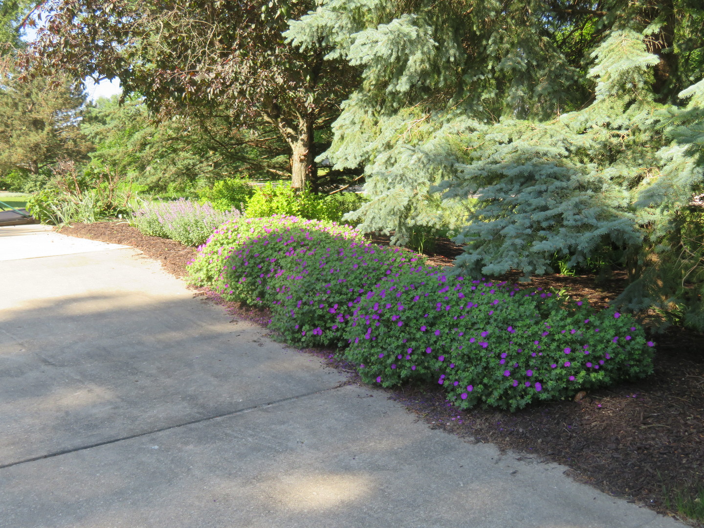 295 W Grandin Road, Morris, IL 60450