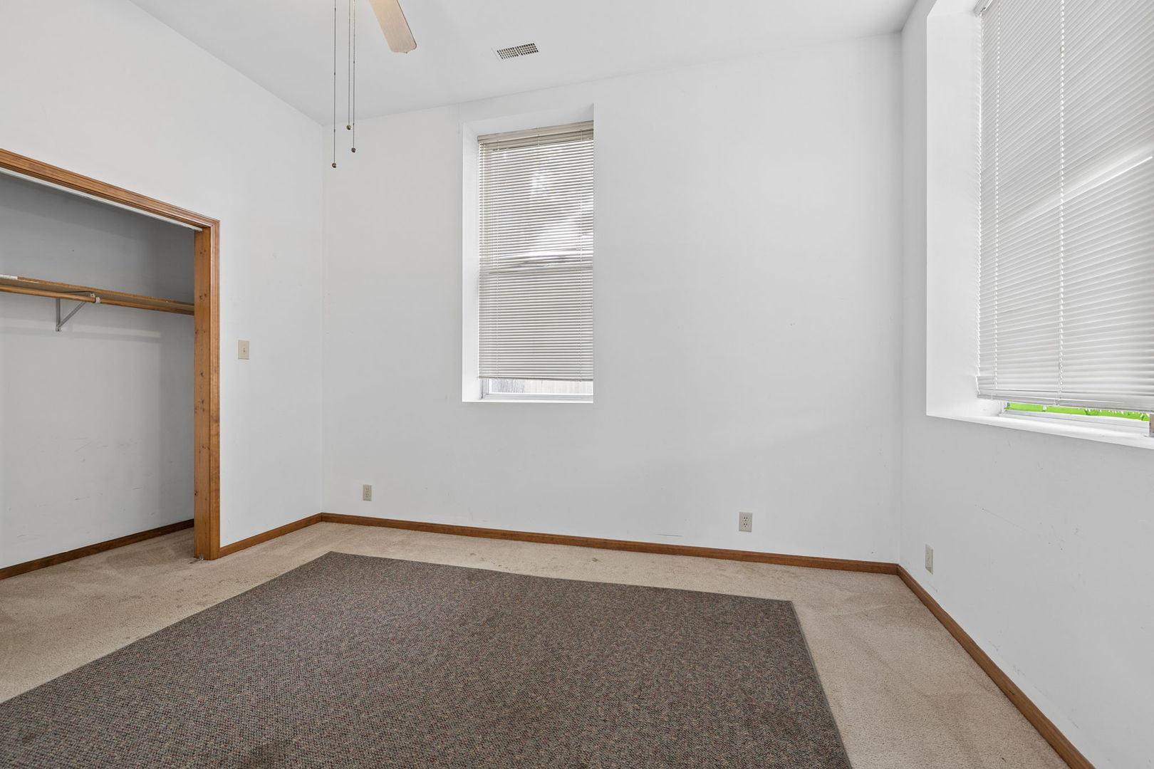 221 N Mitchell Street, Braceville, IL 60407