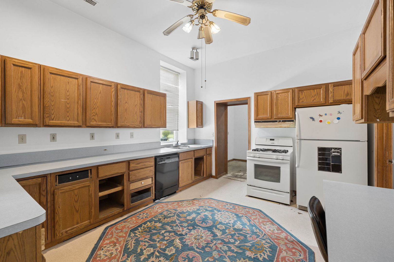 221 N Mitchell Street, Braceville, IL 60407