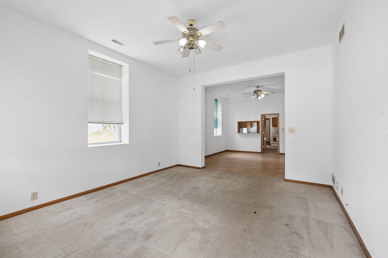 221 N Mitchell Street, Braceville, IL 60407