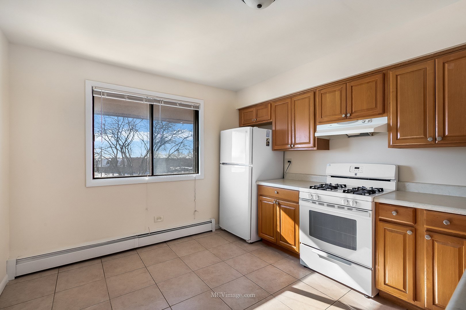 7731 Woodward Avenue #1B, Woodridge, IL 60517