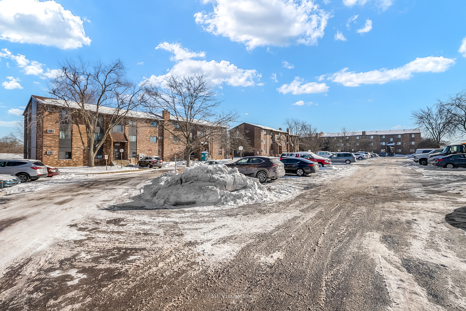 7731 Woodward Avenue #1B, Woodridge, IL 60517