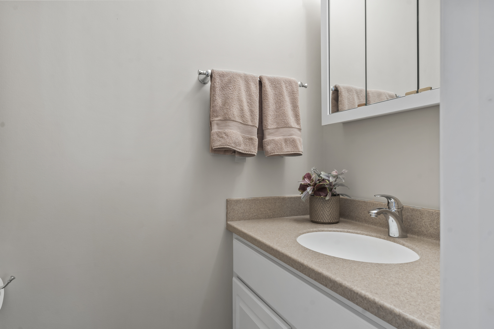 1253 Reading Court, Wheaton, IL 60189