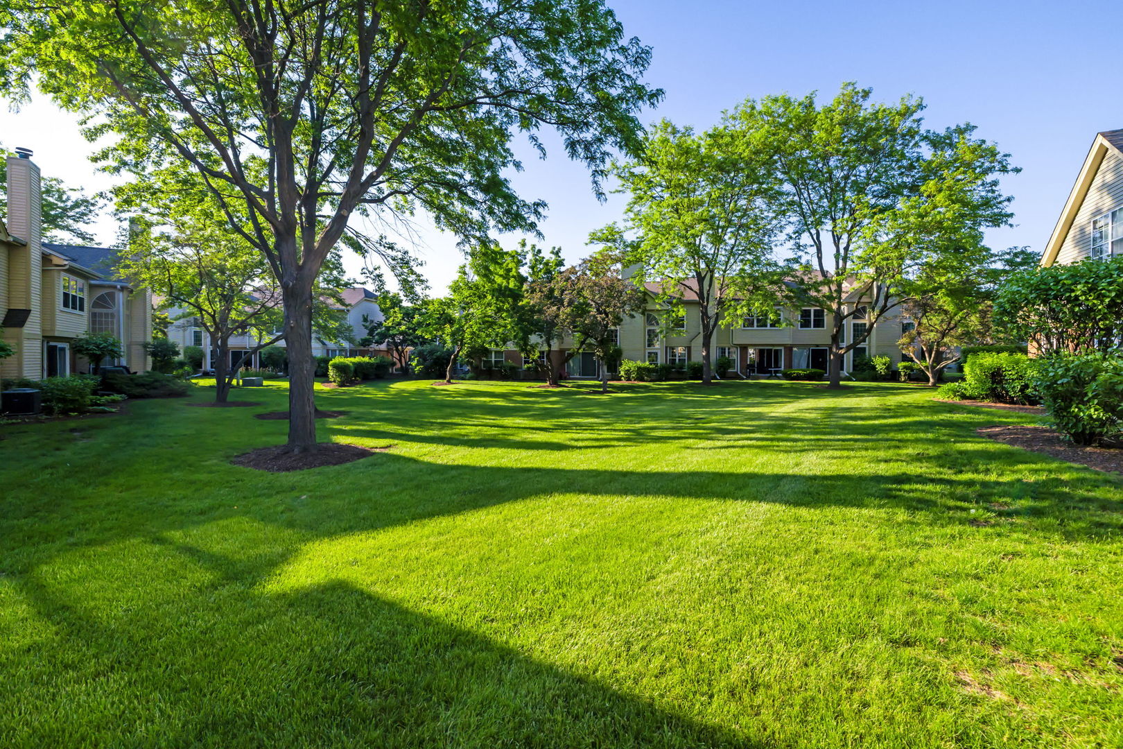 104 Thistle Court, Schaumburg, IL 60194