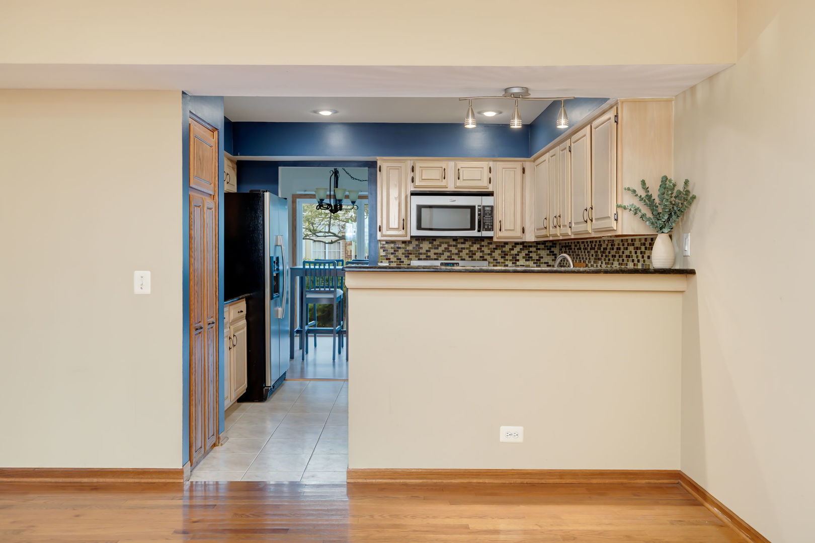 104 Thistle Court, Schaumburg, IL 60194