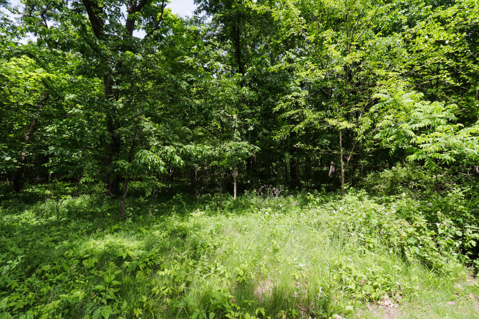 28560 E 850 North Road, Ellsworth, IL 61737