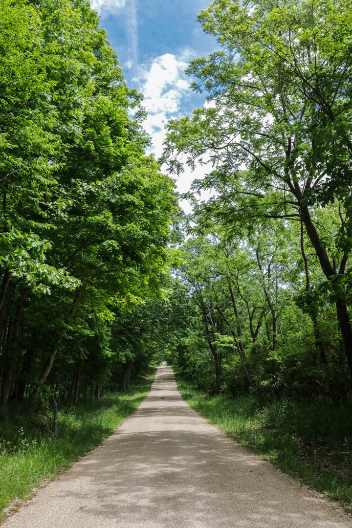 28560 E 850 North Road, Ellsworth, IL 61737