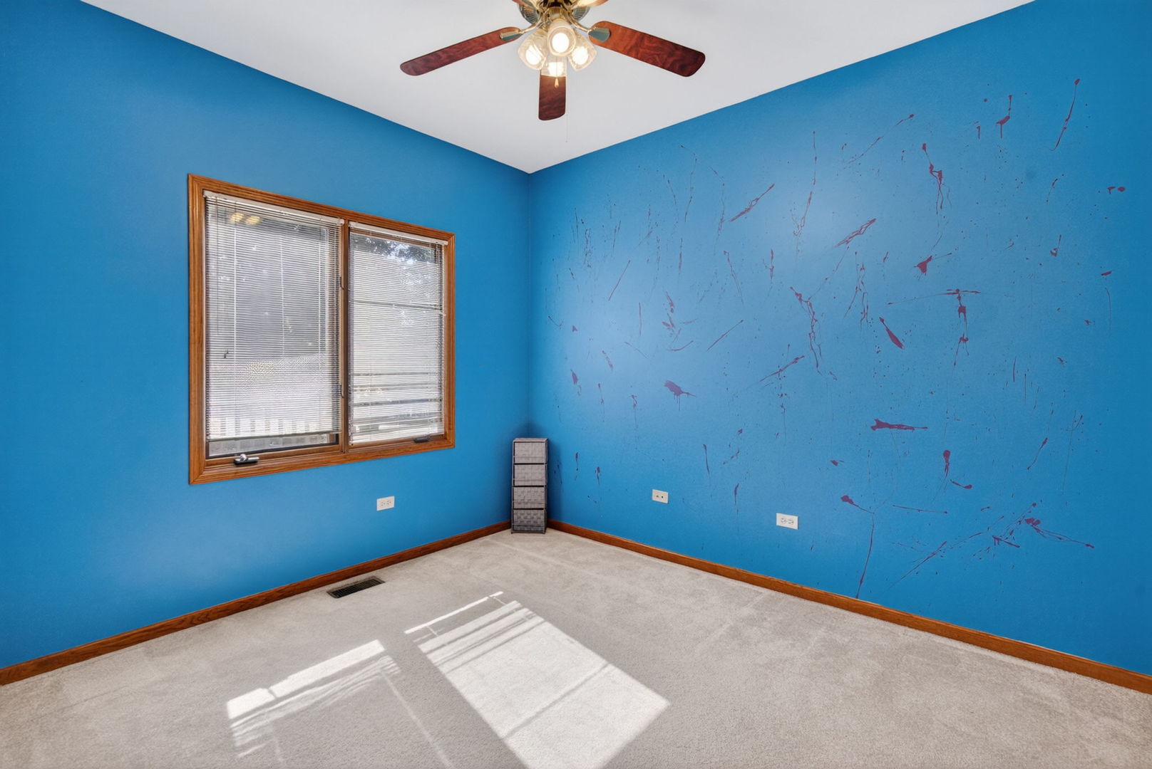 24453 S Blackhawk Drive, Channahon, IL 60410