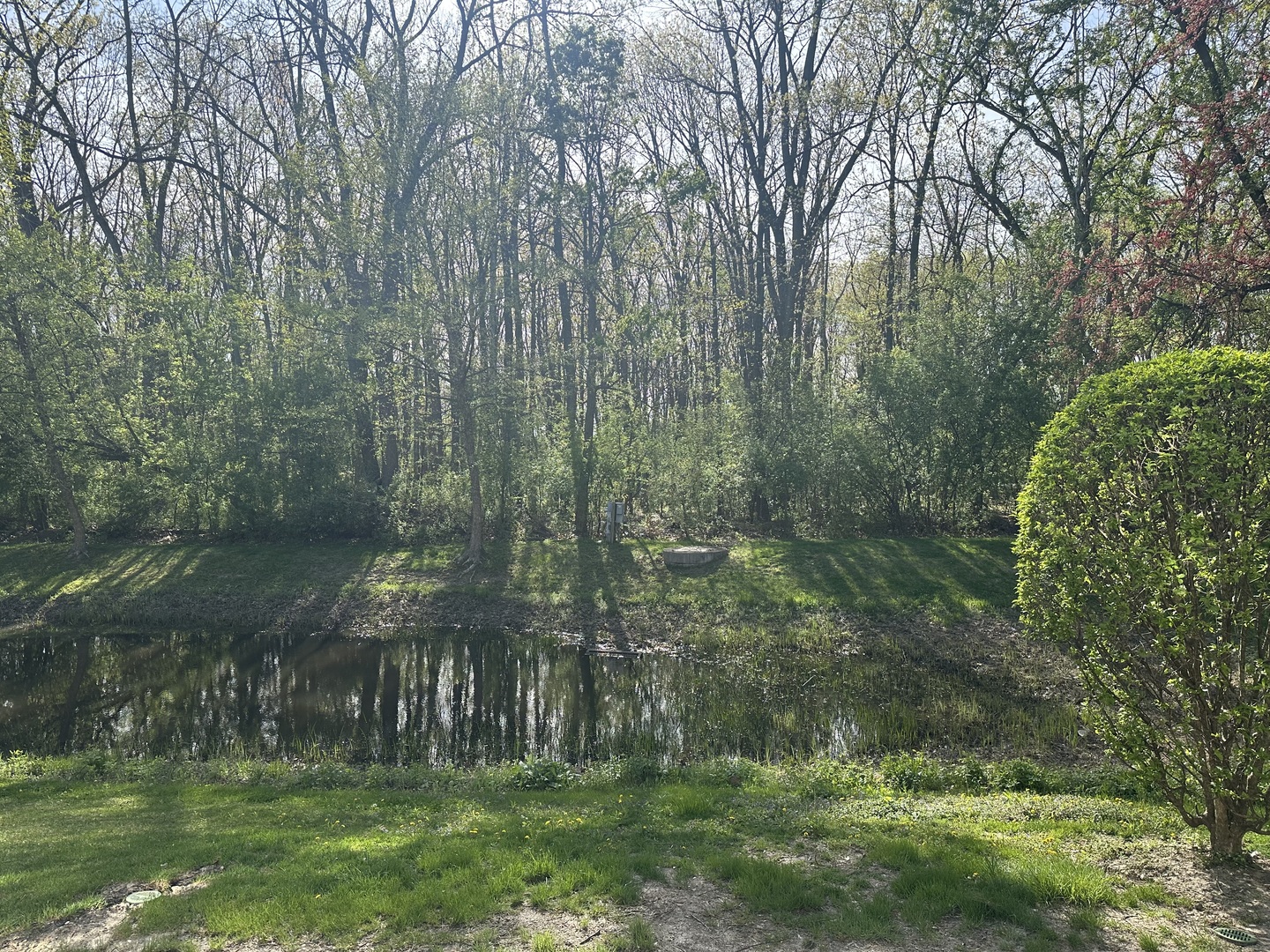 172 N East River Road #R, Des Plaines, IL 60016