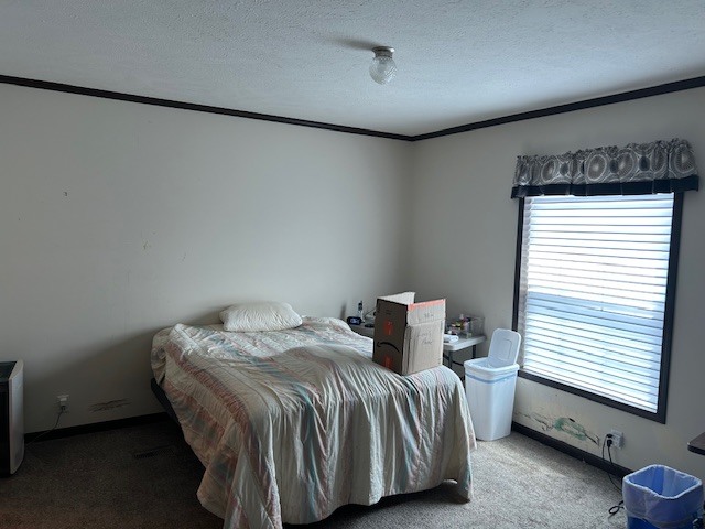 22439 S Remington Drive, Channahon, IL 60410