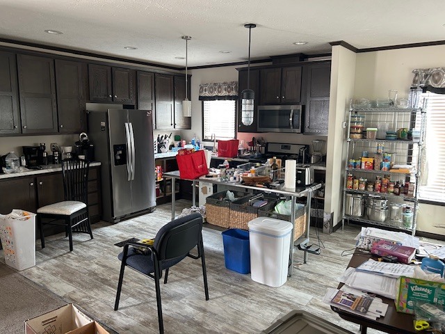 22439 S Remington Drive, Channahon, IL 60410
