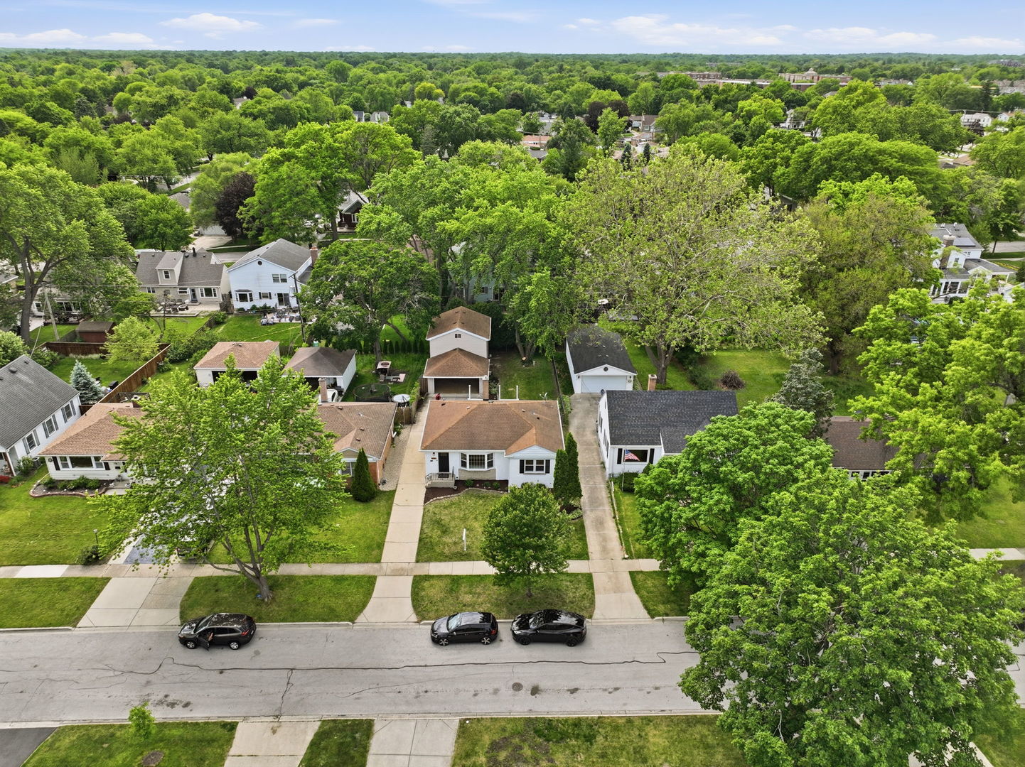 146 S Fremont Street, Palatine, IL 60067