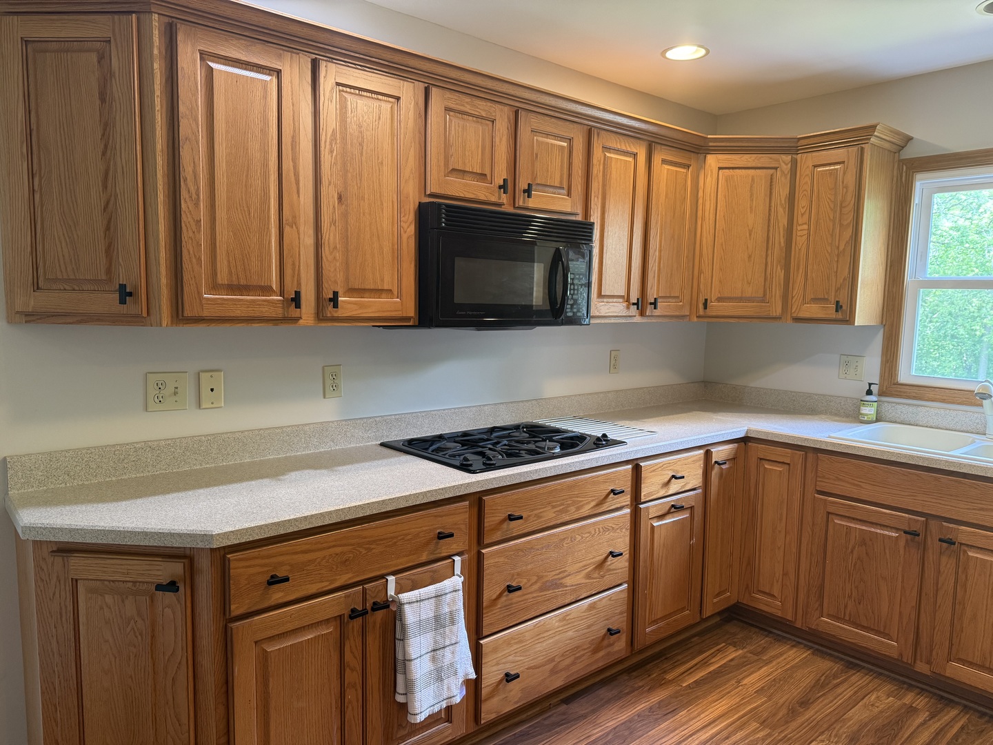 323 Bailey Court, Princeton, IL 61356