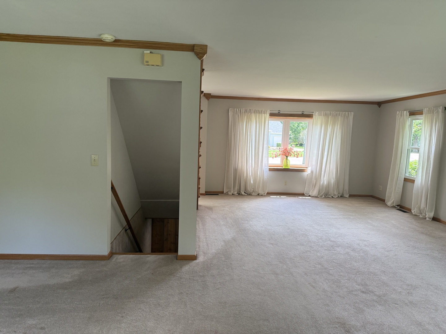 323 Bailey Court, Princeton, IL 61356