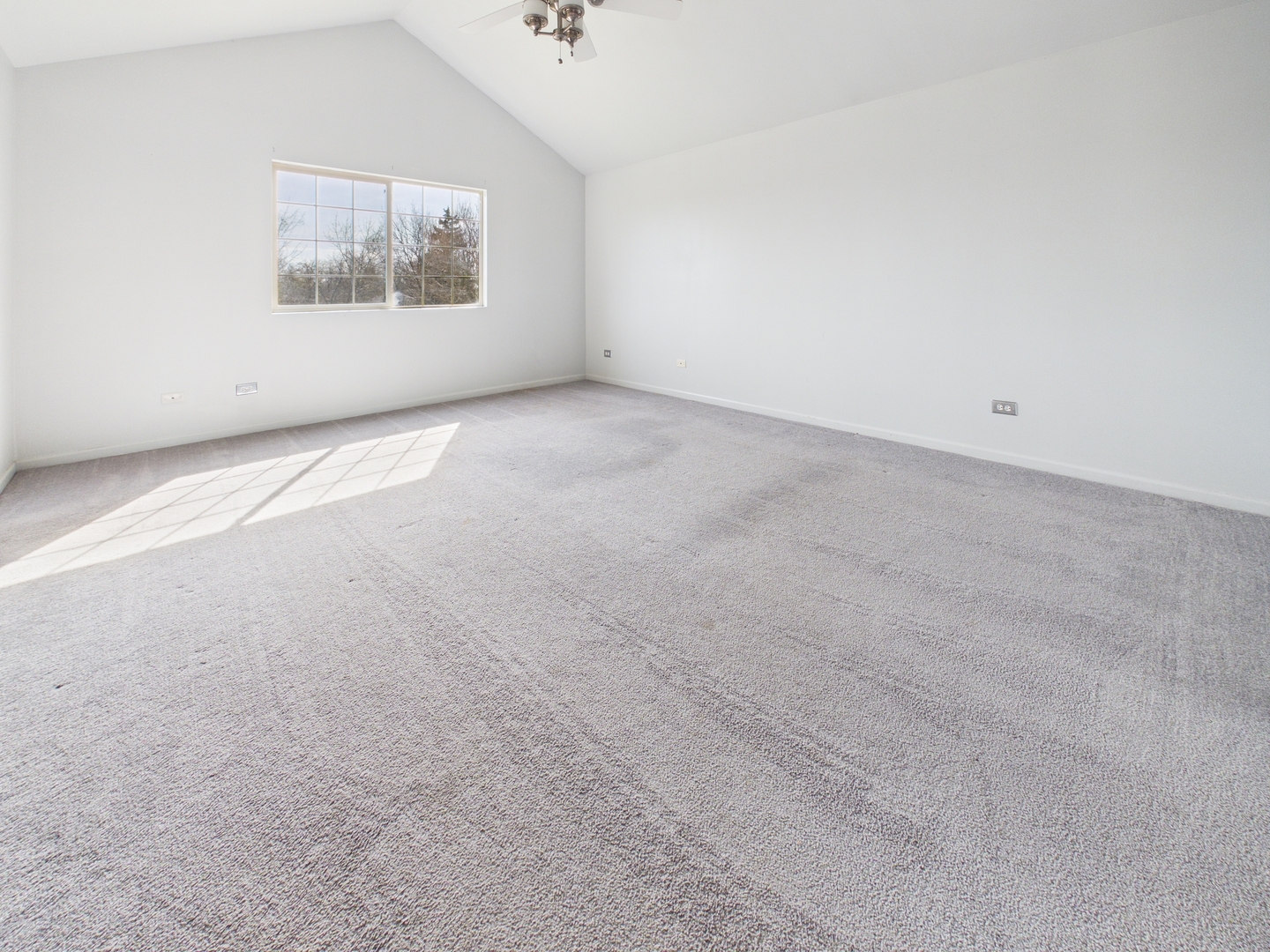 695 Cassandra Lane, University Park, IL 60484