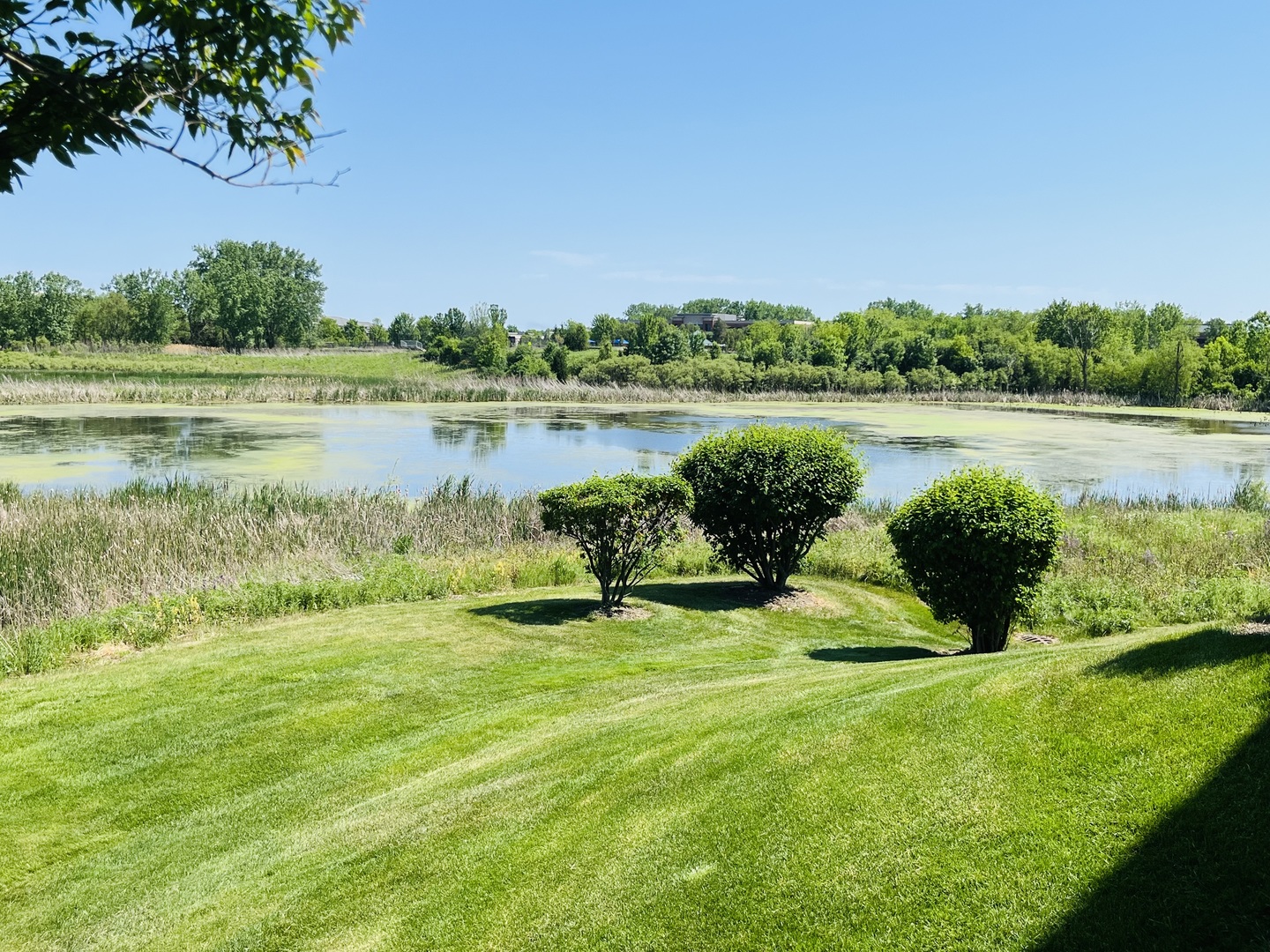 21898 W Talia Lane, Deer Park, IL 60010