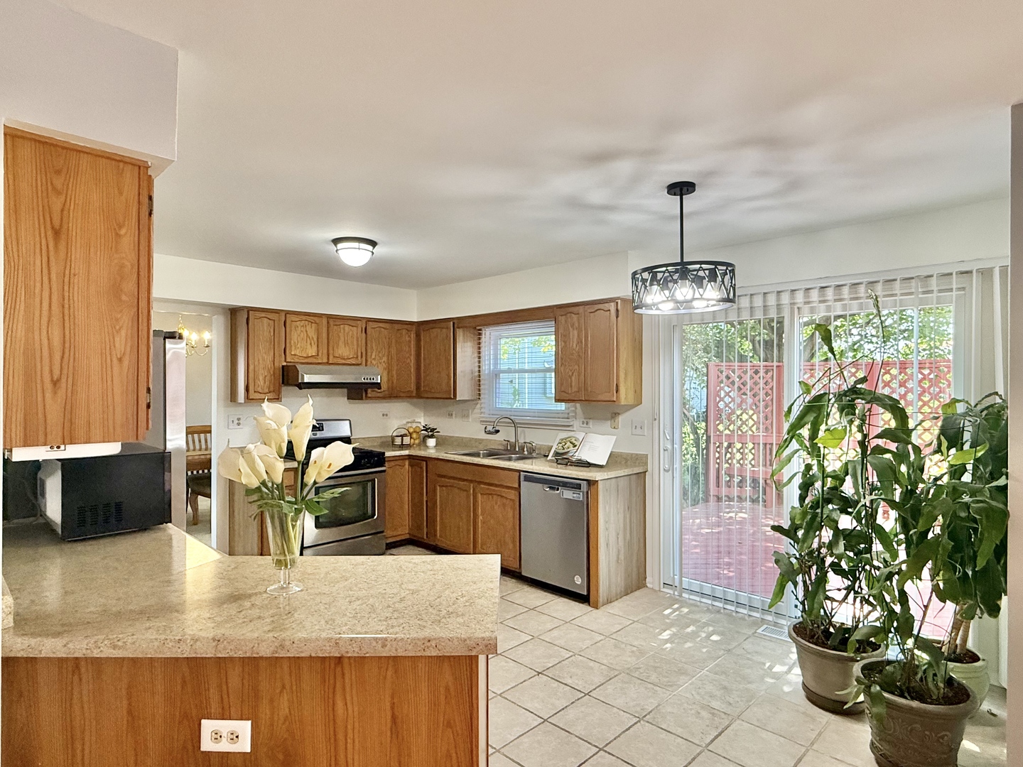 1582 Hinterlong Lane, Naperville, IL 60563